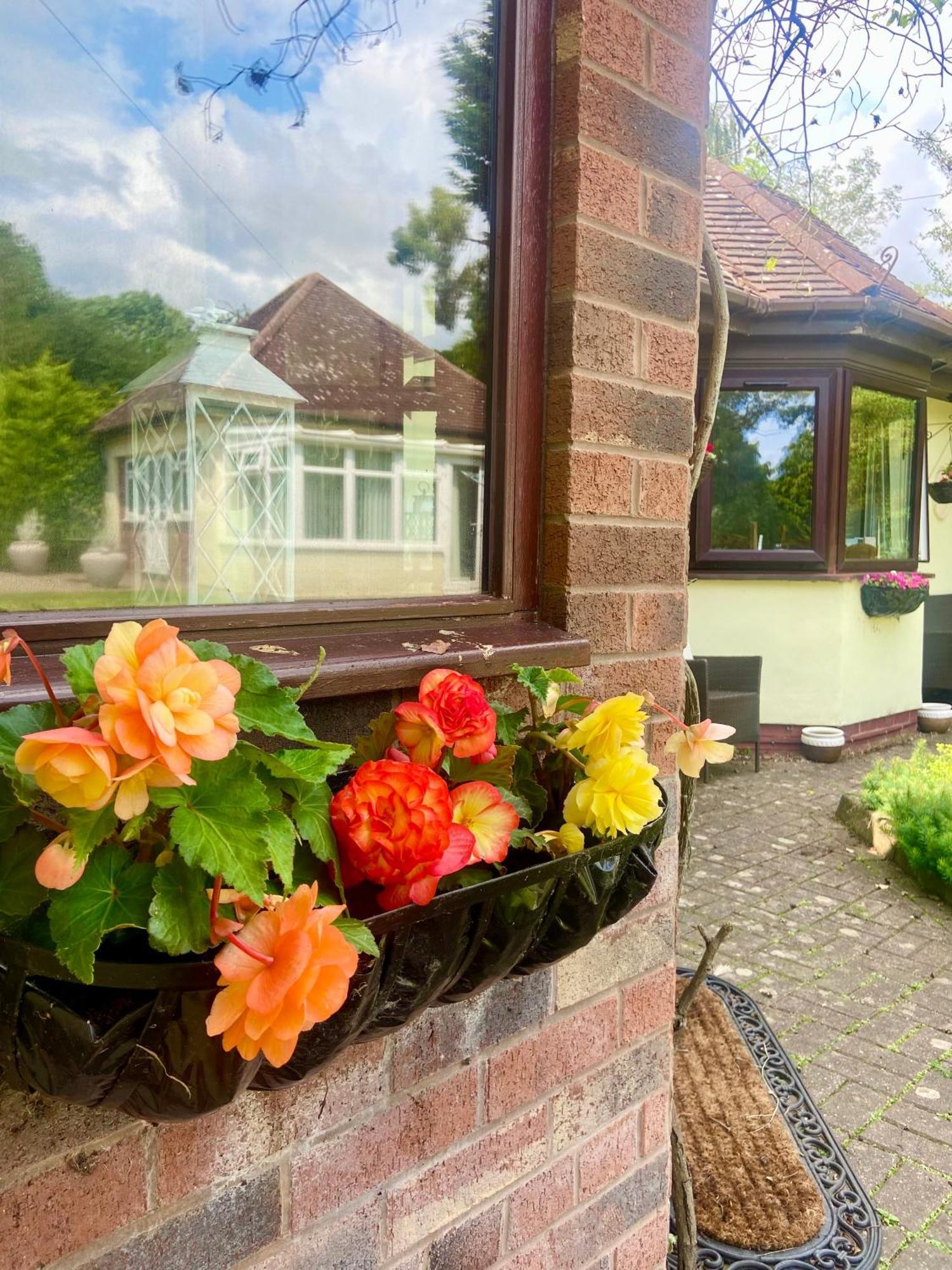 The Cottage On The Common Tenbury Eksteriør bilde